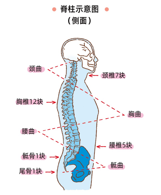 411227fc4c8c4e3608bc5c96a7d36e87.png