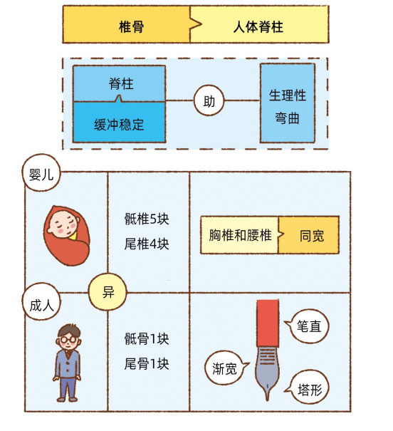 14bfb01f5115a8930e9e716e95cf9c85.png