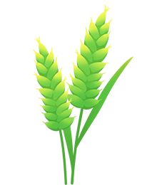 null null