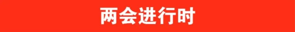 两会进行时.jpg